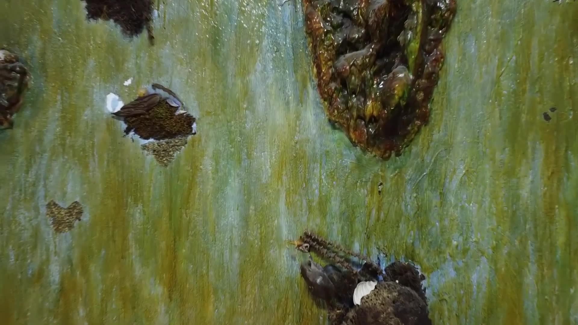 Alanya İlçe Halk Kütüphanesi