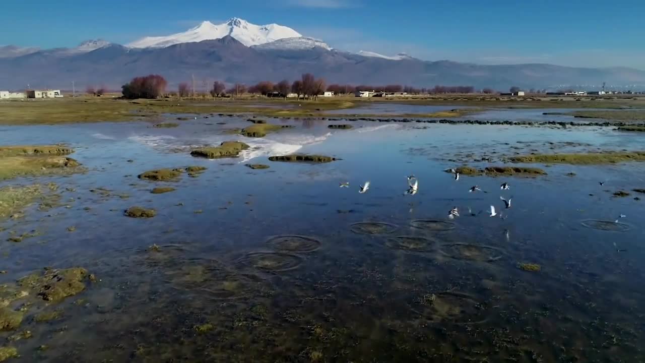 EDEN 2019 - 1 dakika