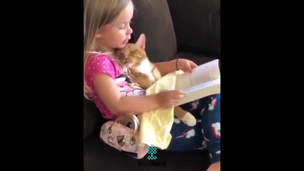 Kedisine Kitap Okuyan Kız