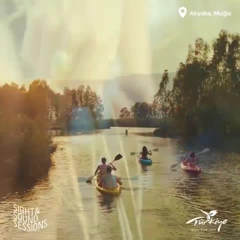 SIGHT & SOUNDS SESSION