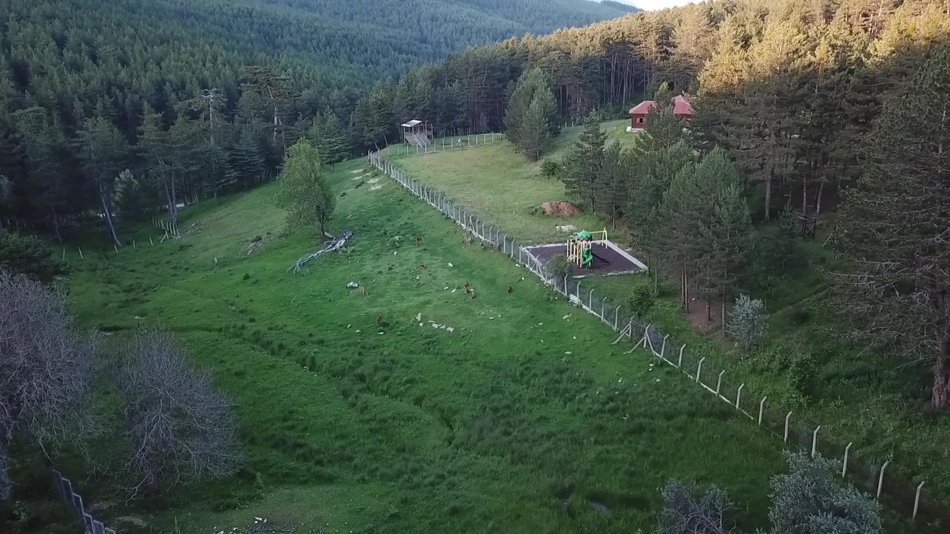Çatacık Orman İçi Dinlenme Yeri
