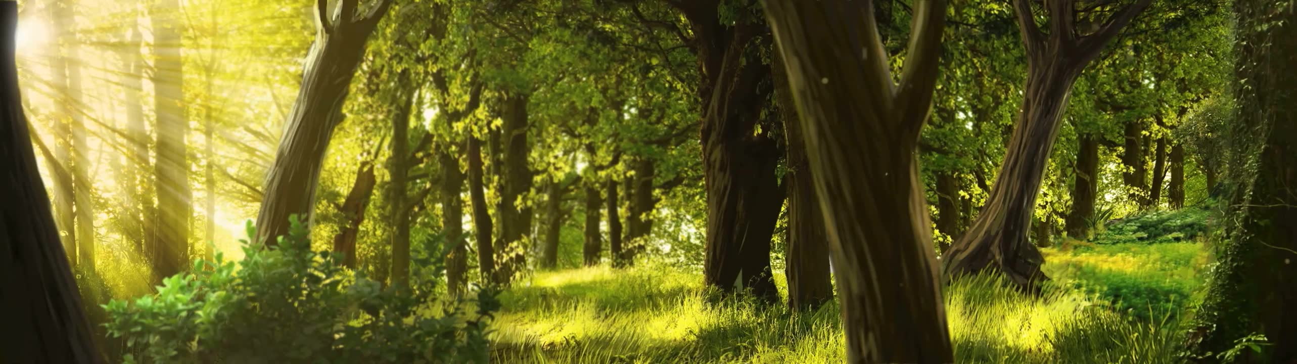 ŞANLIURFA MÜZESİ PEYGAMBERLER SALONU SİNEVİZYONU