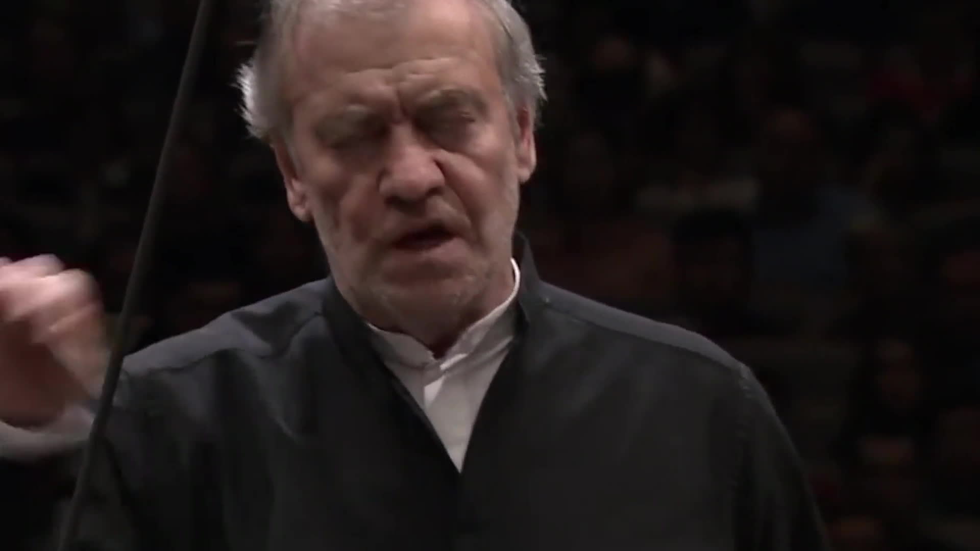 CSO & Marinnsky Ortak Konseri